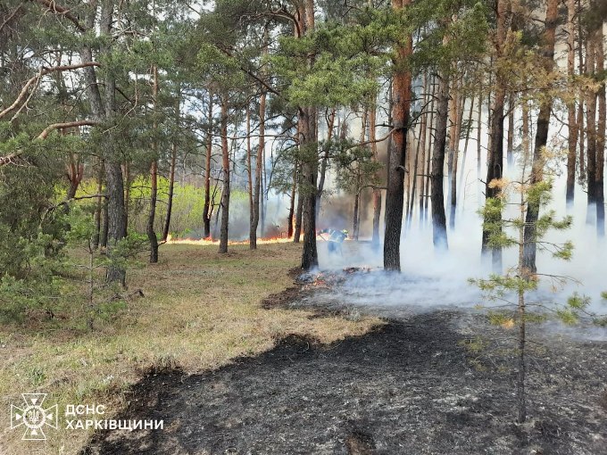 В Ізюмському районі Харківщини тривають лісові пожежі